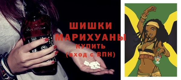 индика Вязники