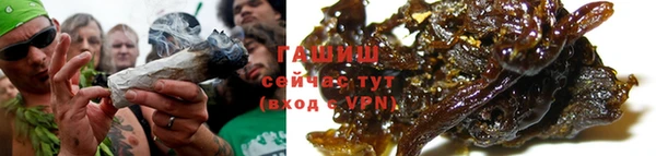 индика Вязники