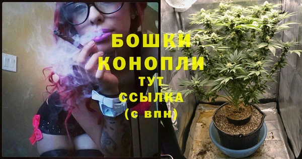 индика Вязники