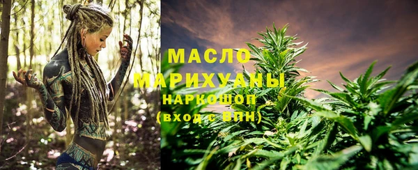 индика Вязники