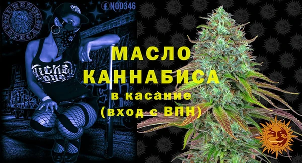индика Вязники