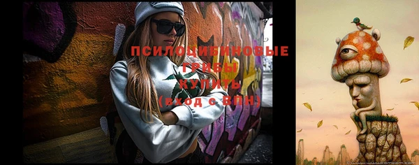 соль курить ск Вязьма